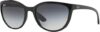 Ray-Ban RB4161 Sunglasses