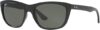 Ray-Ban RB4154 Light Havana Frame Sunglasses