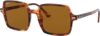 Ray-Ban Rb1973 Square Ii Sunglasses