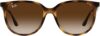 Ray-Ban Rb4378 Square Sunglasses