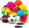 Halloscume 15 Pcs Assorted Sports Balls Set with Pump, Indoor Outdoor