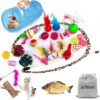 AILUKI 31 PCS Cat Toys Kitten Assortments