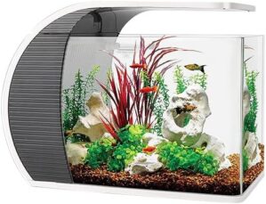 CB Star 5 Gallon Arc-Shaped Glass Fish Tank