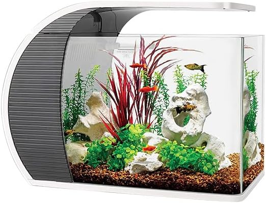 CB Star 5 Gallon Arc-Shaped Glass Fish Tank