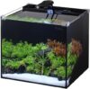 PONDON 5 Gallon Rimless Glass Aquarium Kit