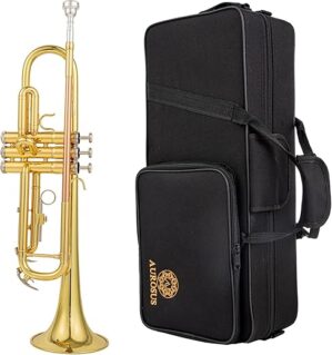 AUROSUS 6331 Bb Standard Trumpet With Case