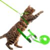 PUPTECK Adjustable Cat Harness and Leash Set, Green