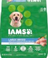 Iams Adult High Protein Large Breed Dog Food