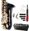 Ktaxon Alto Saxophone Drop E Brass Full Kit