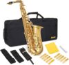 LyxJam Alto Saxophone E Flat Brass Kit