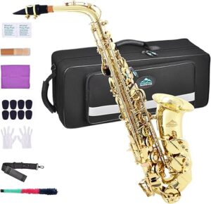 EASTROCK Alto Saxophone Full Kit for Beginners
