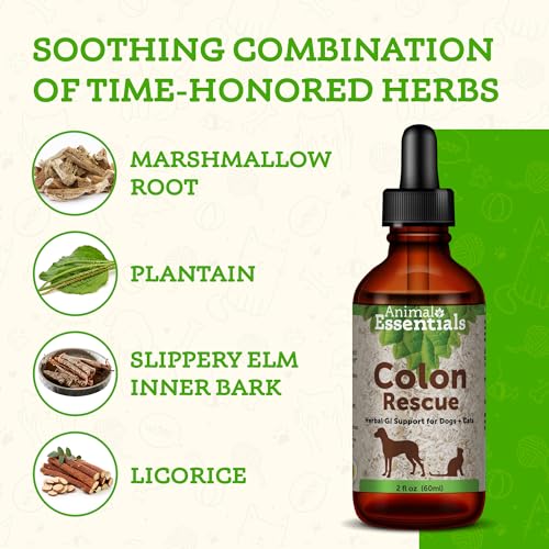 Animal Essentials Colon Rescue Herbal Formula for Dogs & Cats - Image 3