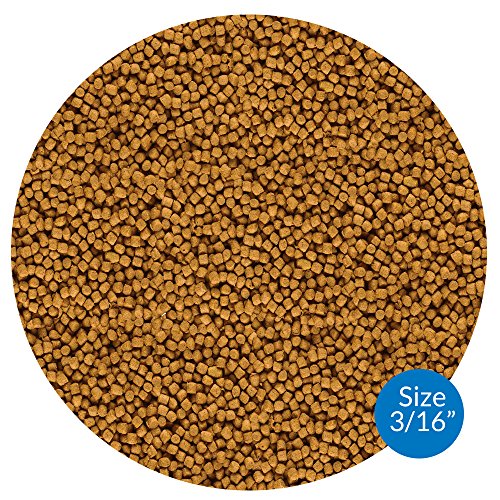 Mars Fishcare API Pond Fish Food 2.68-Pound Bag Fish Food