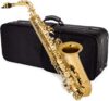 Jean Paul USA AS-400GP Student Alto Saxophone Bundle
