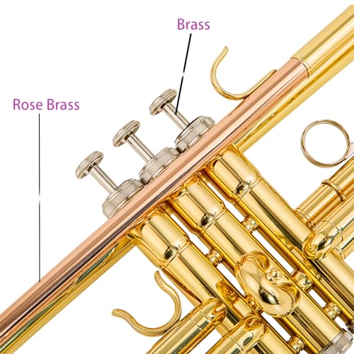AUROSUS 6331 Bb Standard Trumpet With Case - Image 3