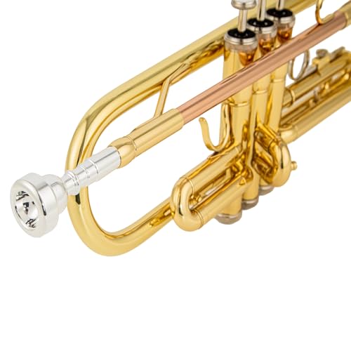 AUROSUS 6331 Bb Standard Trumpet With Case - Image 5