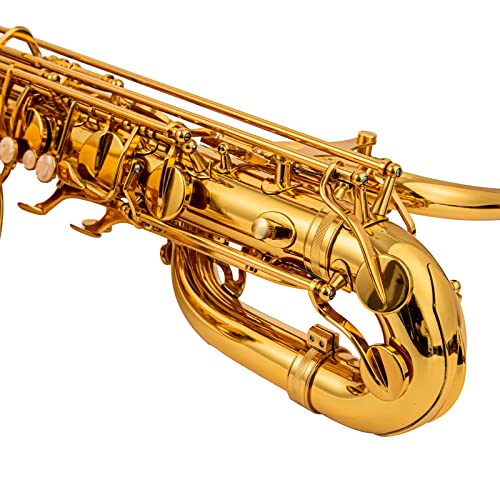 AUROSUS Baritone Saxophone Low Bb - High F# Gold Lacquer - Image 4