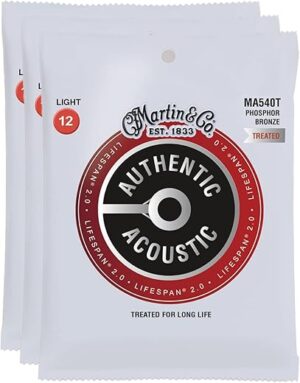Martin&Co. Authentic Acoustic Lifespan 2.0 12-54