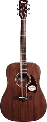 Ibanez AW54OPN Artwood Dreadnought Acoustic Guitar