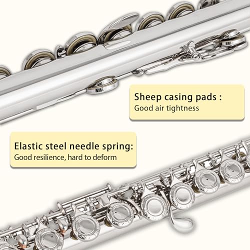 BAHAMUT Bahamut B Foot Flute, 17 Open Holes - Image 3