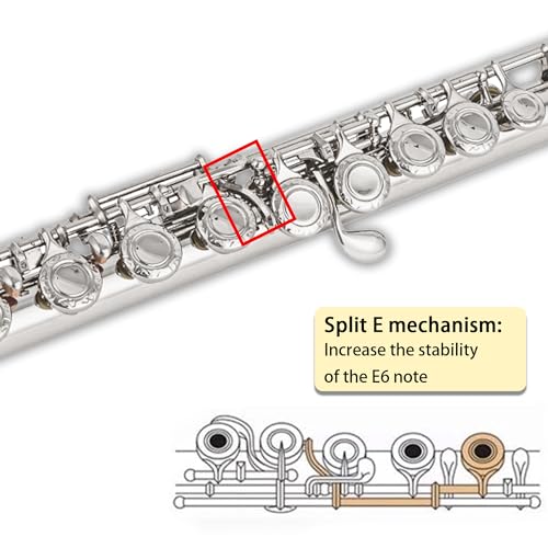 BAHAMUT Bahamut B Foot Flute, 17 Open Holes - Image 4