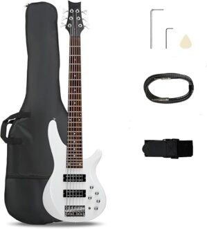 Ktaxon Bass Guitar With Professional H-H Pickup