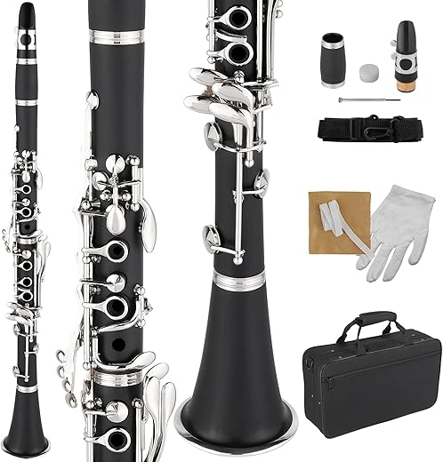 Ktaxon Bb Clarinet For Beginners, 17 Keys B Flat