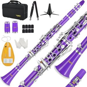 VANPHY Bb Clarinet For Beginners, 17 Keys Clarinet