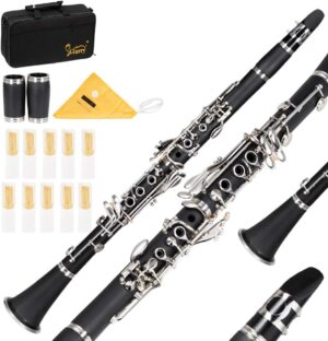 Ktaxon Bb Flat Clarinet, 17 Keys, Hard Case