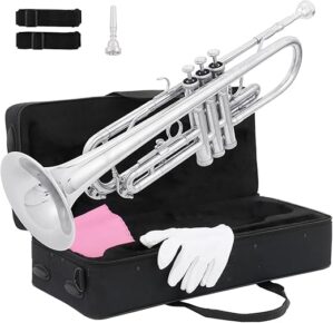 Ktaxon Bb Standard Trumpet With Hard Case, Silver