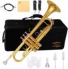GLORY ESTD. 1962 Bb Trumpet for Beginner or Advanced Student