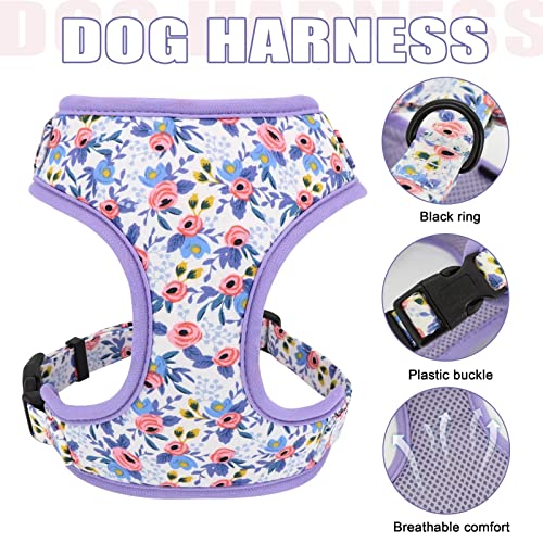 Beirui Cute Girl Dog Collar Leash Set XS - Image 3