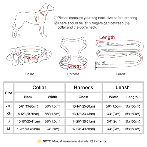 Beirui Cute Girl Dog Collar Leash Set XS - Image 2