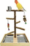 Tfwadmx Bird Perch Natural Wood Stand Playground Toy