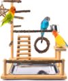 KATUMO Bird Playground Perch Stand with Tray and Cups