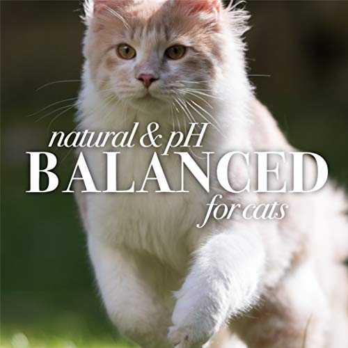 BURT'S BEES FOR PETS Cat Naturally Derived Dander Reducing Wipes - Image 4