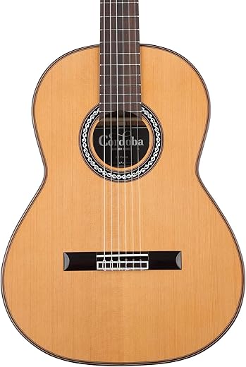 Cordoba C9 Parlor Small Body Classical Guitar