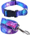 Impoosy Cat Dog Collar & Leash Set (Large)