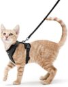 rabbitgoo Cat Harness And Leash, Escape Proof XS