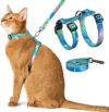 PetThem Cat Harness and Leash Set – Adjustable