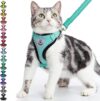 PUPTECK Cat Harness And Leash Set, Aquamarine, S