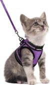 rabbitgoo Cat Harness and Leash Set, Purple, S