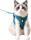 HEYWEAN Cat Harness And Leash – Turquoise