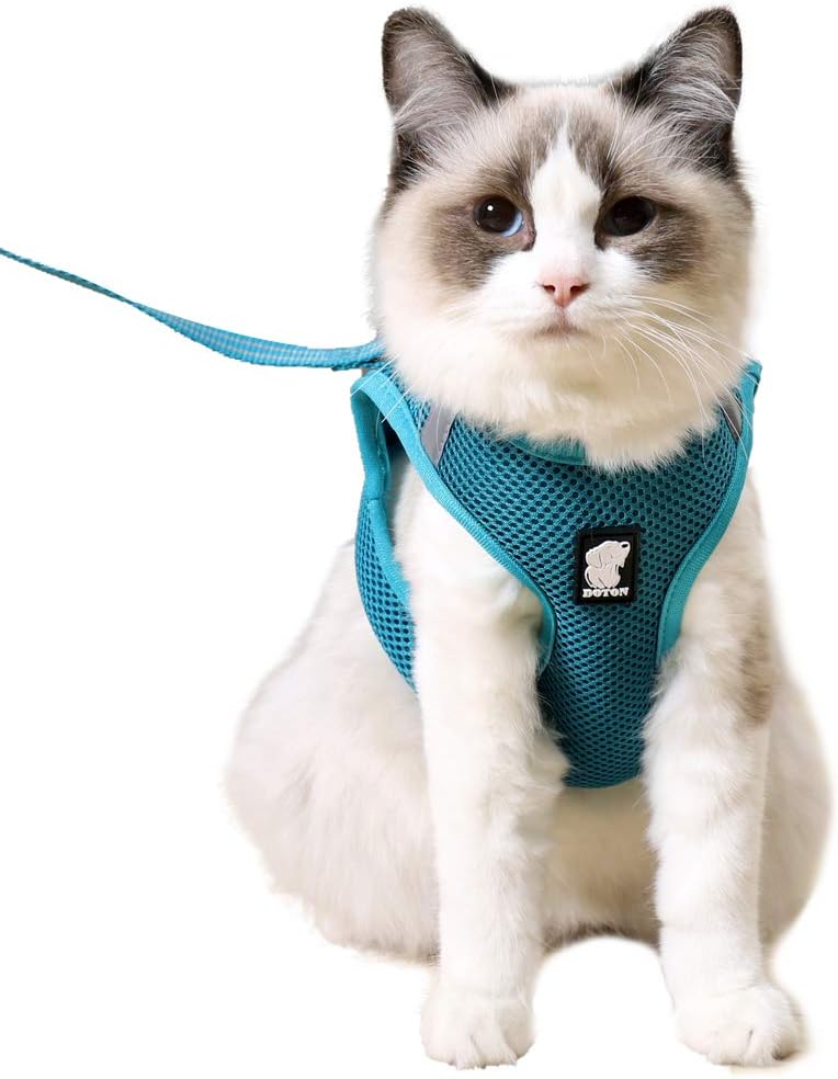 HEYWEAN Cat Harness And Leash - Turquoise
