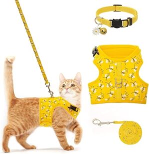 BINGPET Cat Harness With Leash XJ58
