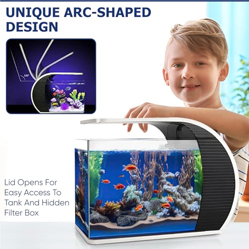 CB Star 5 Gallon Arc-Shaped Glass Fish Tank - Image 3