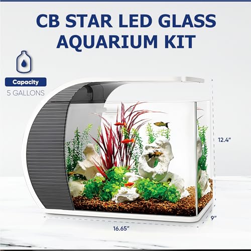 CB Star 5 Gallon Arc-Shaped Glass Fish Tank - Image 2