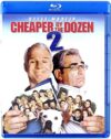 Cheaper By The Dozen 2
