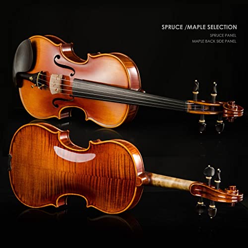 Christina V05C Full Size Handmade Professional Violin Kit - Image 3