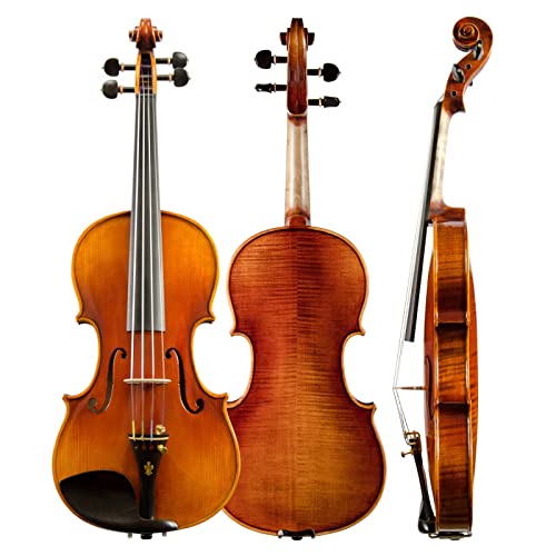 Christina V05C Full Size Handmade Professional Violin Kit - Image 2